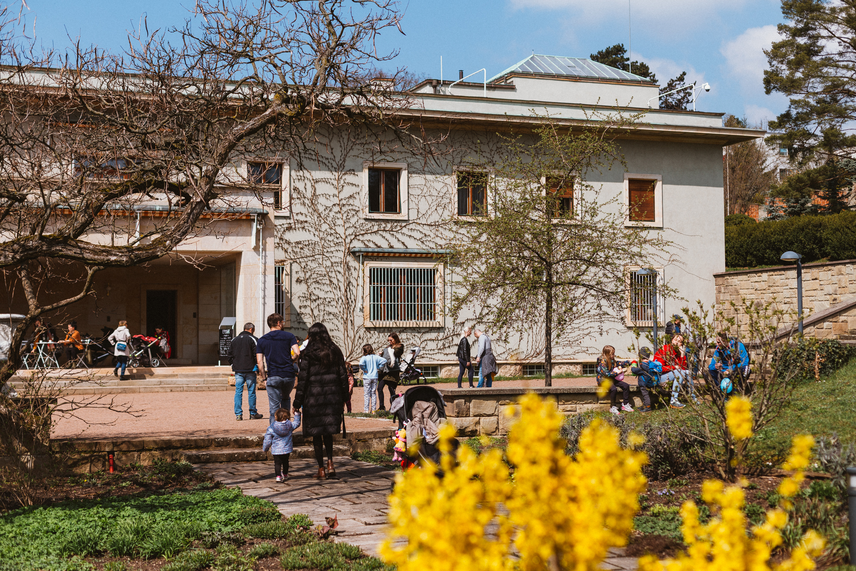 Velikonoce u paní Hermíny aneb hledání vajíček | © Simona Modrá Velikonoce u paní Hermíny aneb hledání vajíček | © Simona Modrá