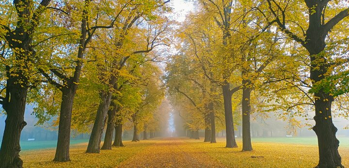 Podzimní foto zámeckého parku | © Kateřina Bařtipánová